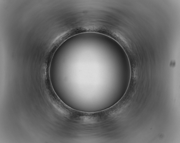 X0000091060733200708061241