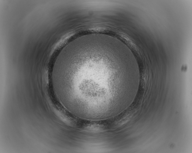 X0000091060734200708061241