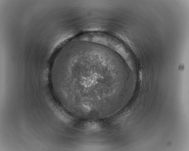 X0000091060735200708061241