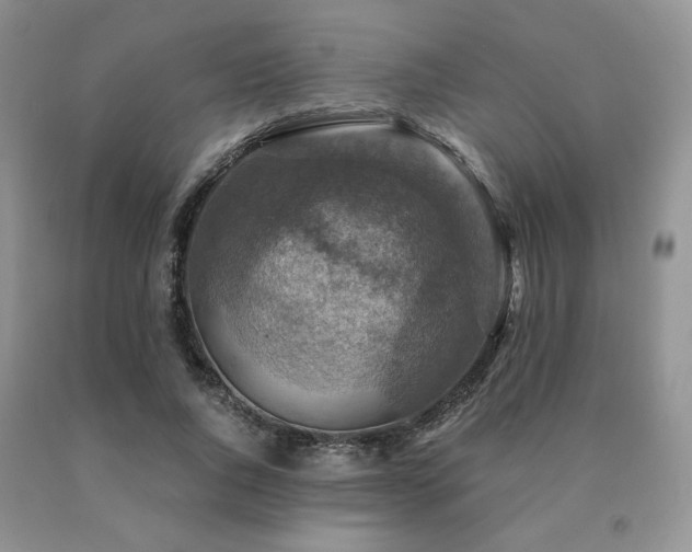 X0000091060736200708061241