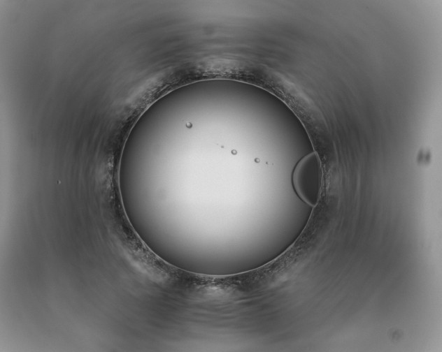 X0000091060737200708061241