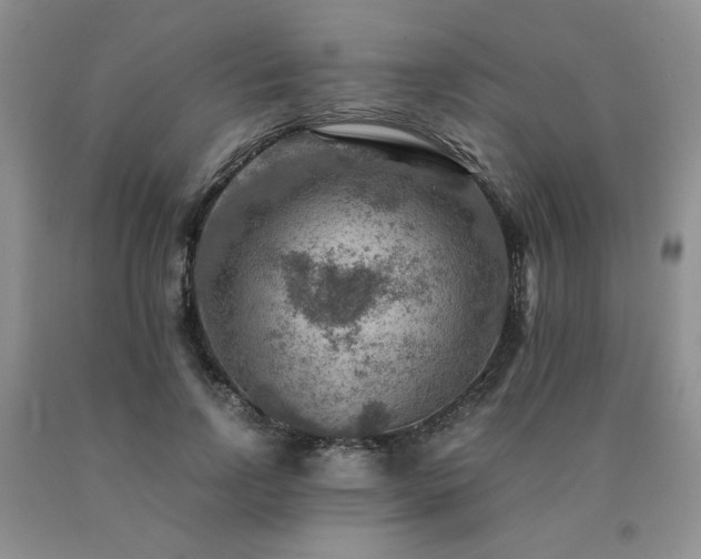 X0000091060742200708061242