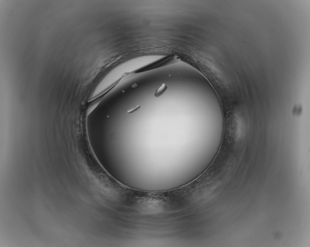 X0000091060743200708061242