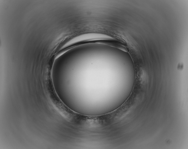 X0000091060744200708061242