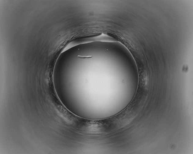 X0000091060746200708061242