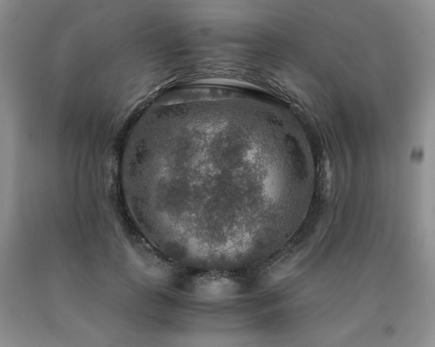 X0000091060747200708061242