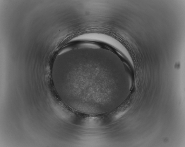 X0000091060748200708061242