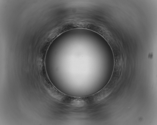 X0000091060749200708061242