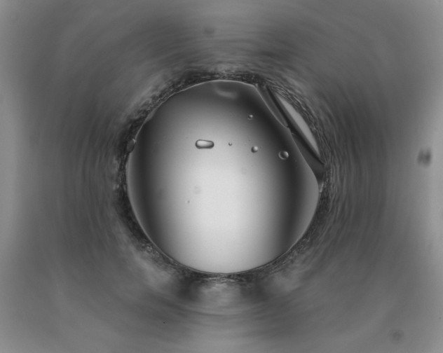 X0000091060750200708061242