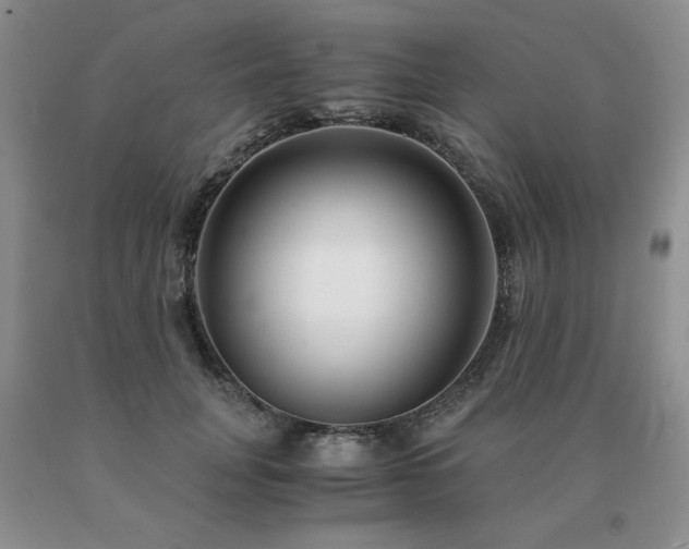 X0000091060751200708061242