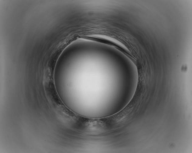 X0000091060752200708061242