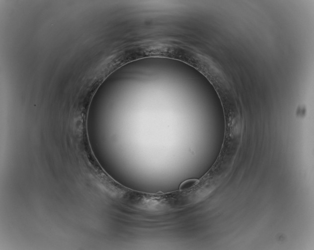 X0000091060753200708061242