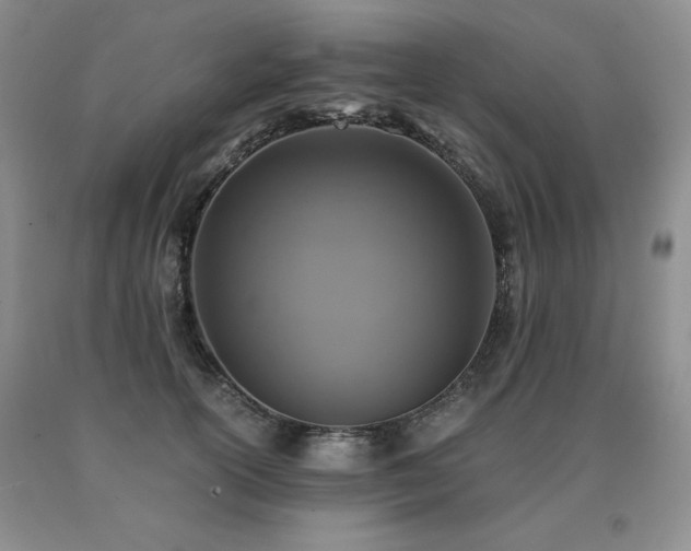 X0000091060754200708061242