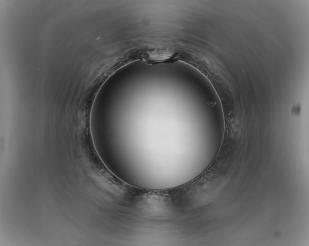 X0000091060756200708061242