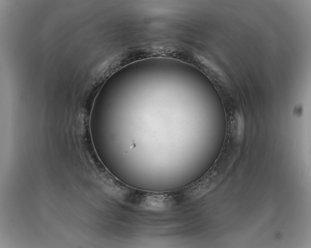 X0000091060757200708061242