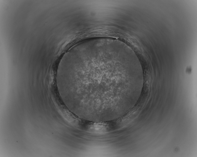 X0000091060758200708061242
