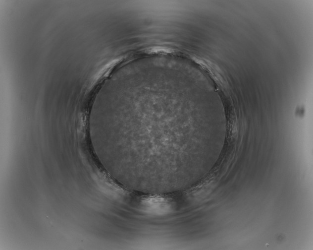 X0000091060759200708061242