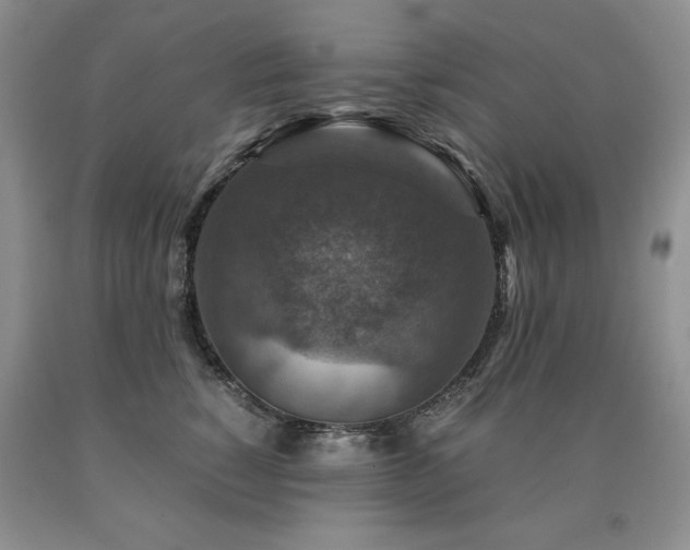 X0000091060760200708061242