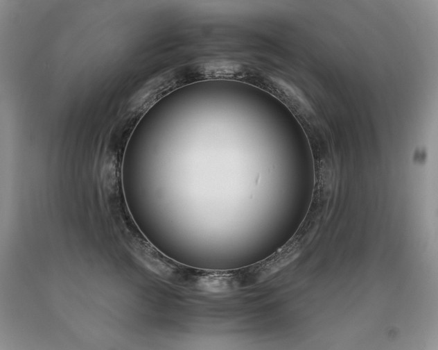 X0000091060761200708061242