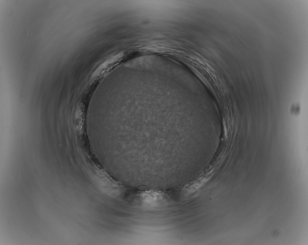 X0000091060762200708061242