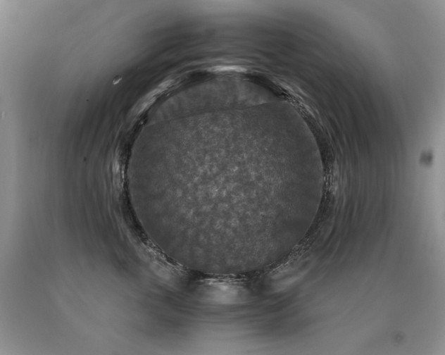 X0000091060763200708061242