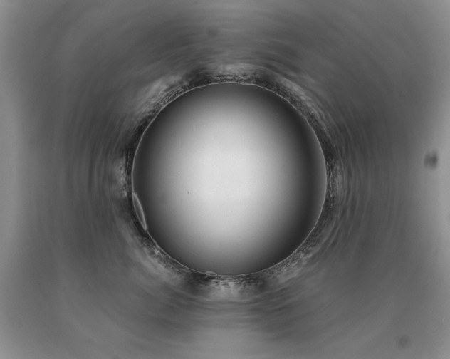X0000091060764200708061242