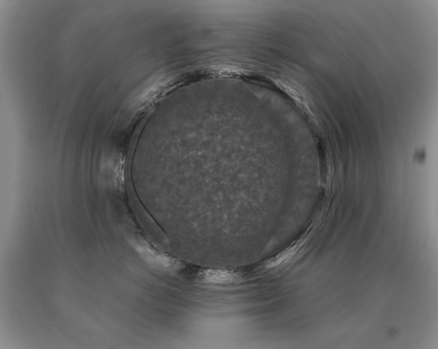 X0000091060766200708061242