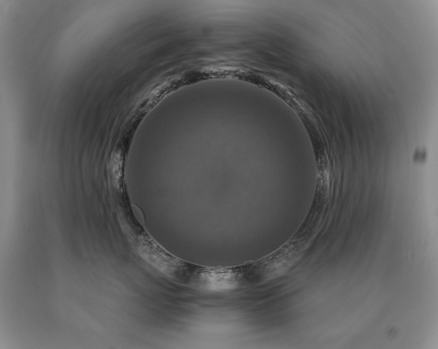 X0000091060767200708061242