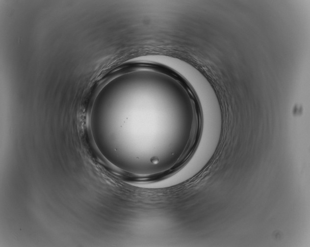 X0000091060768200708061242