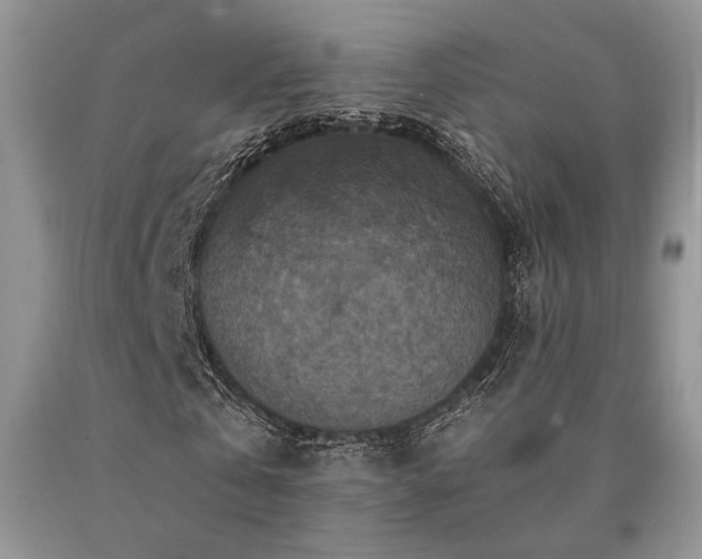 X0000091060769200708061241