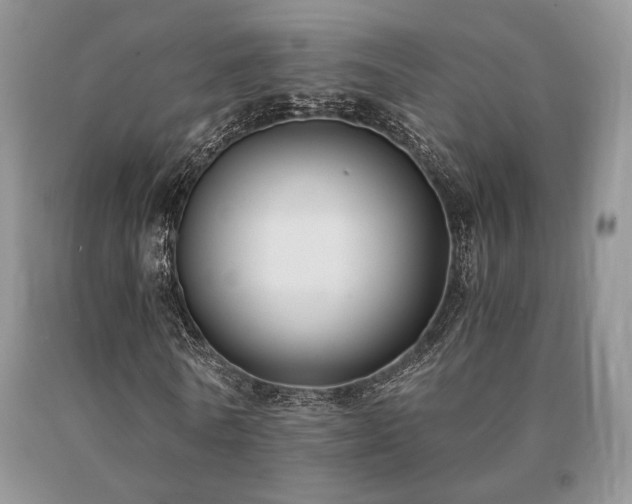 X0000091060770200708061241
