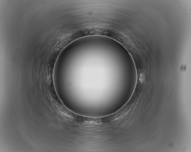 X0000091060771200708061241