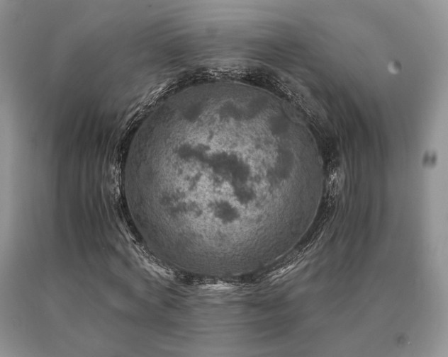 X0000091060772200708061241