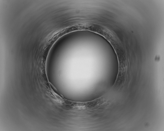 X0000091060773200708061241