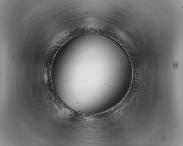 X0000091060774200708061241
