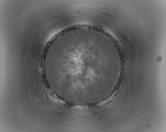 X0000091060775200708061241