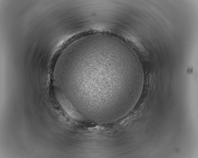 X0000091060776200708061241