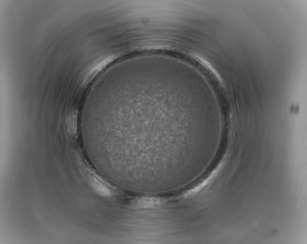X0000091060777200708061241