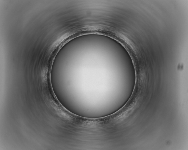X0000091060778200708061241