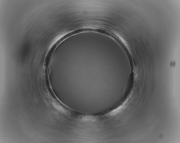 X0000091060779200708061241