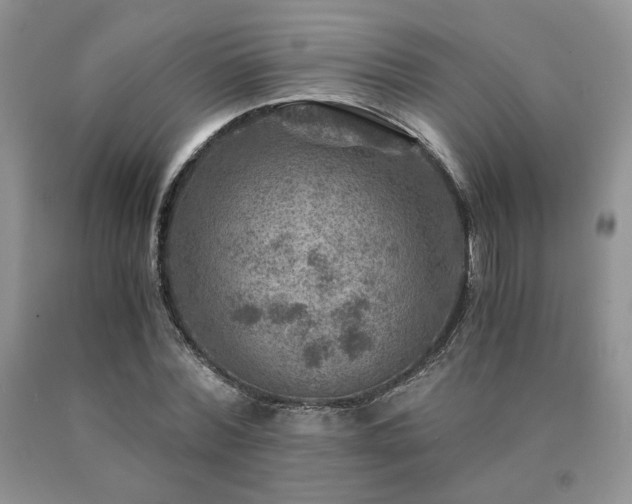 X0000091060780200708061241