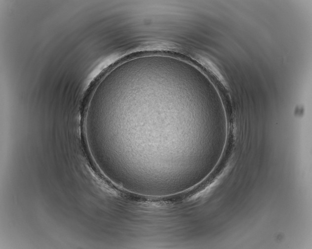 X0000091060781200708061241
