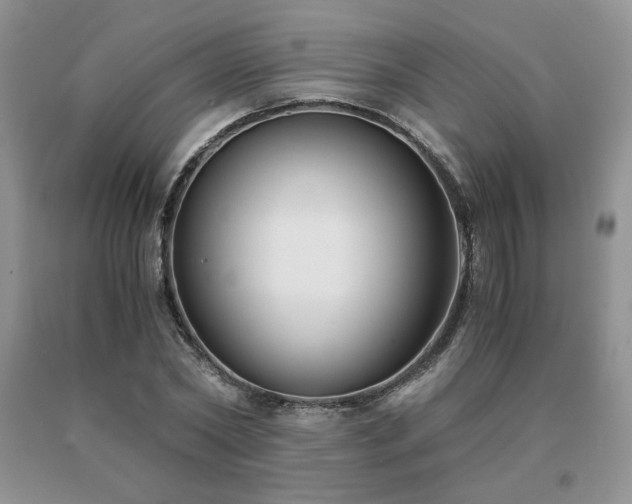 X0000091060782200708061241