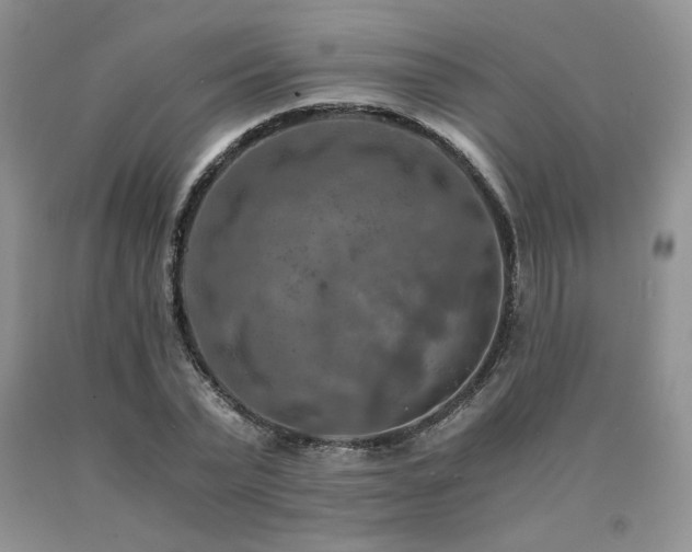 X0000091060783200708061241