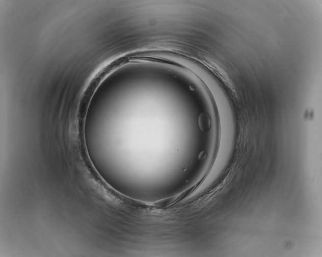 X0000091060784200708061241