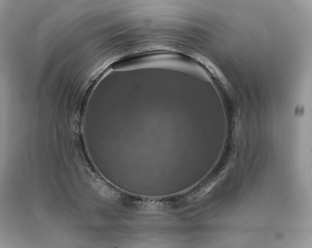 X0000091060785200708061241
