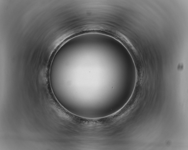 X0000091060786200708061241