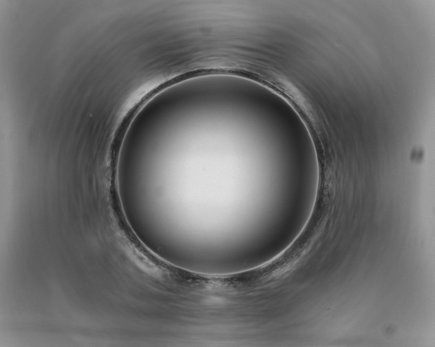 X0000091060787200708061241