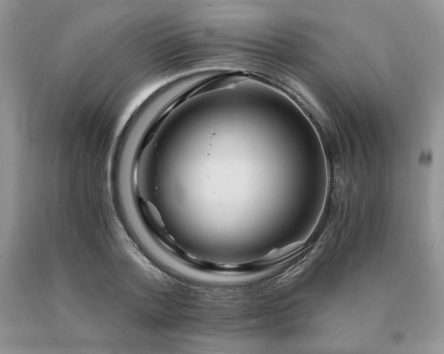 X0000091060788200708061241