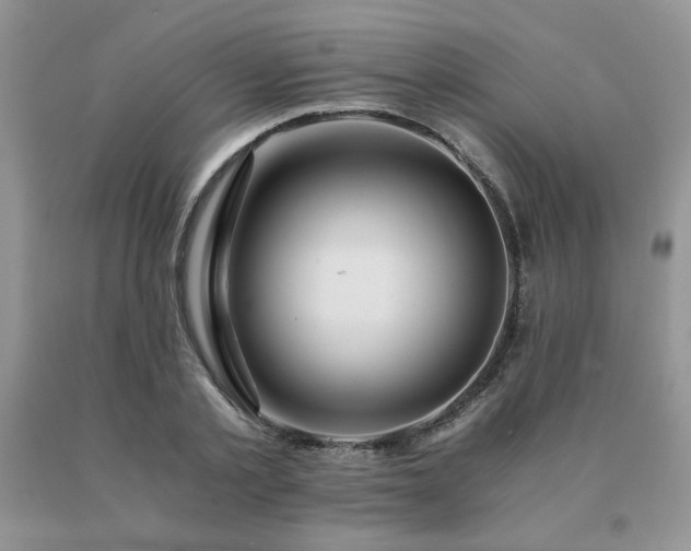 X0000091060789200708061241